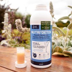 Nutri Detox Ravene