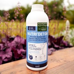 Nutri Detox Ravene