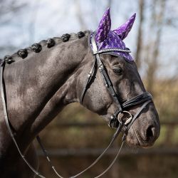 Bonnet Halloween QHP