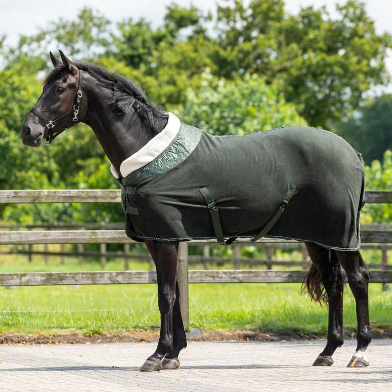 Polaire brilliance QHP