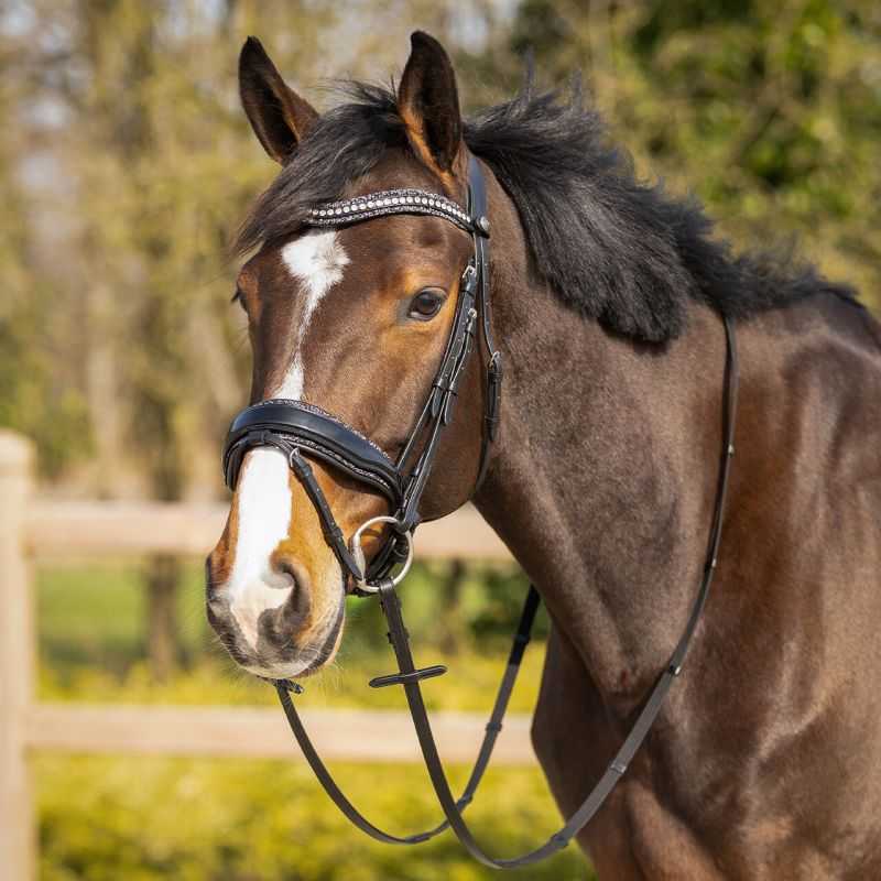 Doublure thérapie infrarouge pour cheval 50g