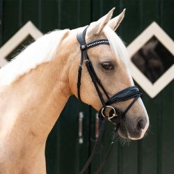 Doublure de muserolle Skye QHP
