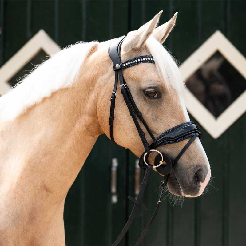 Doublure De Cheval Horseware Imperméable - Fabriquée En Irlande - Occasion