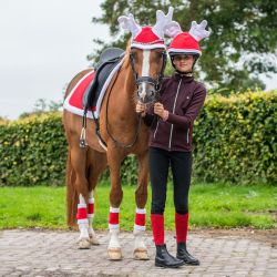 Bonnet de Renne Noël pour chevaux QHP