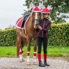 Bonnet de Renne Noël pour chevaux QHP