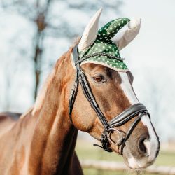 Bonnet de Noël pour chevaux QHP