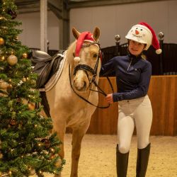 Toque Noël QHP