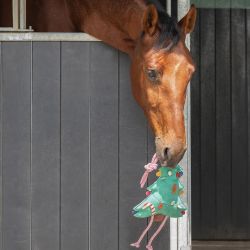 Jouet pour Chevaux Noël QHP