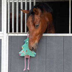 Jouet pour Chevaux Noël QHP