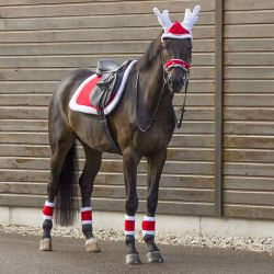 Fourreaux de Noël avec clochettes QHP