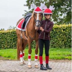 Bandes de Noël QHP