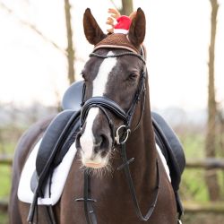 Bonnet de Noël avec bois pour chevaux QHP