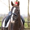 Bonnet de Noël avec bois pour chevaux QHP