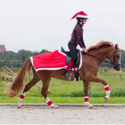 Couvre-reins Noël QHP