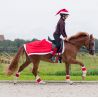 Couvre-reins Noël QHP