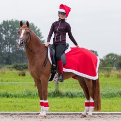 Couvre-reins Noël QHP