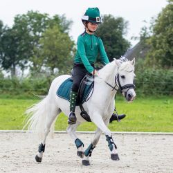 Chaussettes Noël QHP