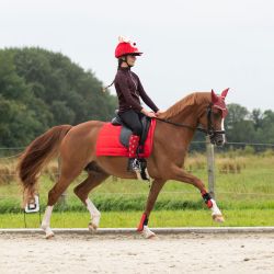 Chaussettes Noël QHP