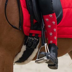 Chaussettes Noël QHP