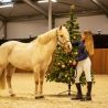 Chaussettes d'équitation Noël