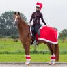 Bonnet de Noël QHP