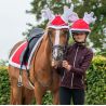 Toque pour casque Renne de Noël QHP