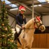 Bonnet de Noël Cheval QHP