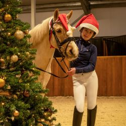 Bonnet de Noël Cheval QHP