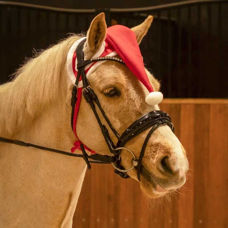 Bonnet de Noël Cheval QHP
