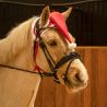 Bonnet de Noël Cheval QHP