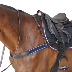 Bricole élastique Canter