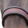 Licol en cuir Comfort Flags&Cup