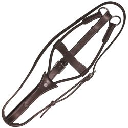 Martingale élastique Canter