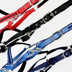 Ensemble licol + longe Atamik Flags&Cup 