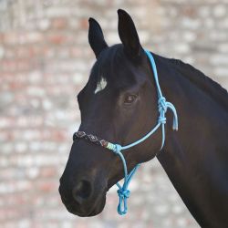 Licol éthologique Pearls