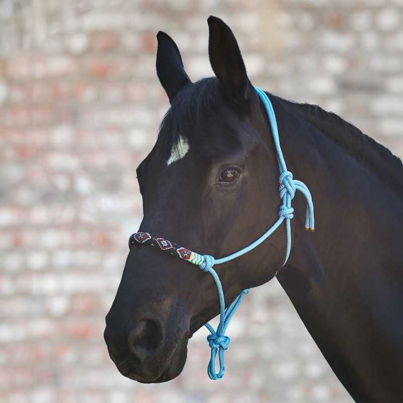 Licol éthologique Pearls