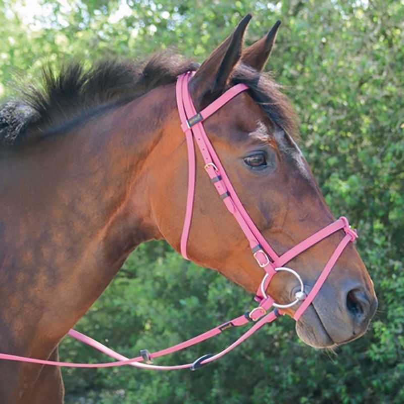 Bridon Biotack T de T