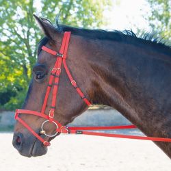 Bridon Biotack T de T