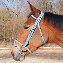 Bridon Biotack T de T