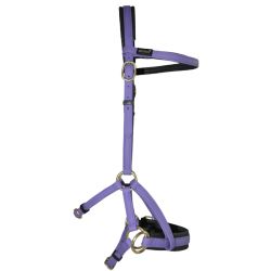 Sidepull Biotack T de T