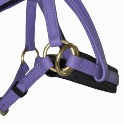 Sidepull Biotack T de T