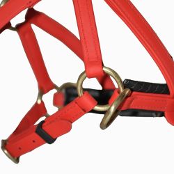 Sidepull Biotack T de T