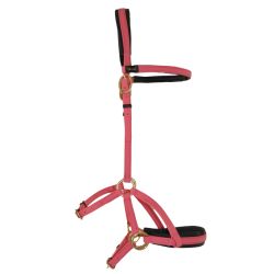 Sidepull Biotack T de T