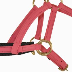 Sidepull Biotack T de T