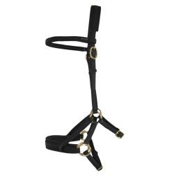 Sidepull Biotack T de T