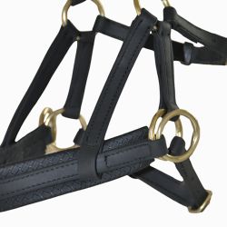 Sidepull Biotack T de T