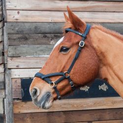 Sidepull Biotack T de T