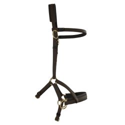 Sidepull Biotack T de T