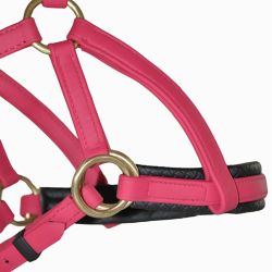 Sidepull Biotack T de T