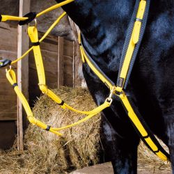 Collier de chasse Biotack T de T